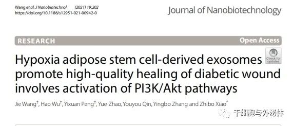 哈医大二院整形美容外科通过外泌体促进糖尿病伤口愈合研究取得突破进展