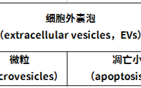 抗衰黑科技：外泌体