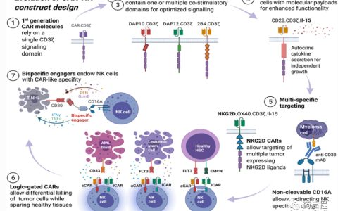 NK疗法的下一个前沿