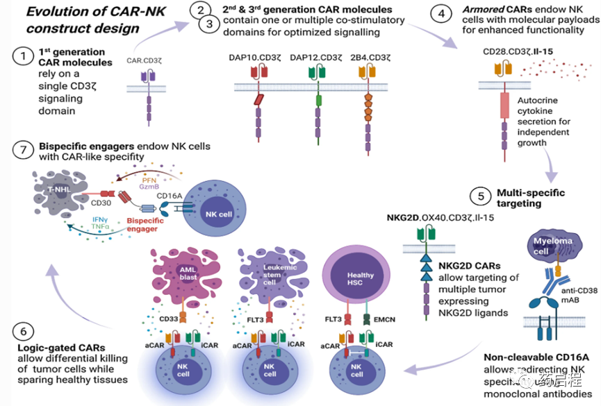NK疗法的下一个前沿