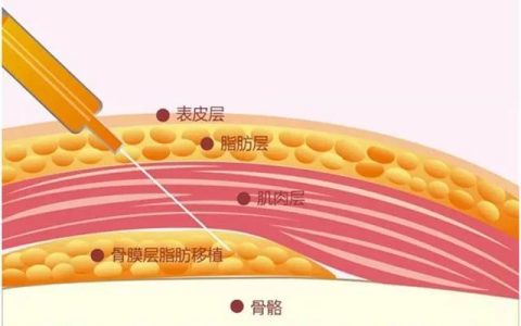 间充质干细胞旁分泌功能在面部抗衰老领域的应用