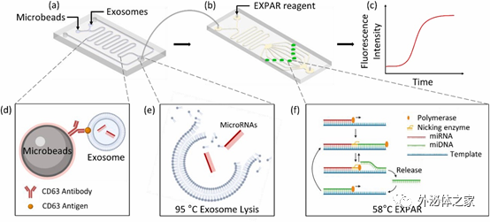 Biosens Bioelectron：一种进行外泌体miRNA等温扩增和检测的便携式系统