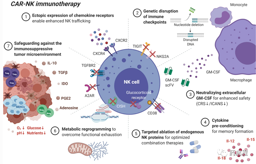 NK疗法的下一个前沿