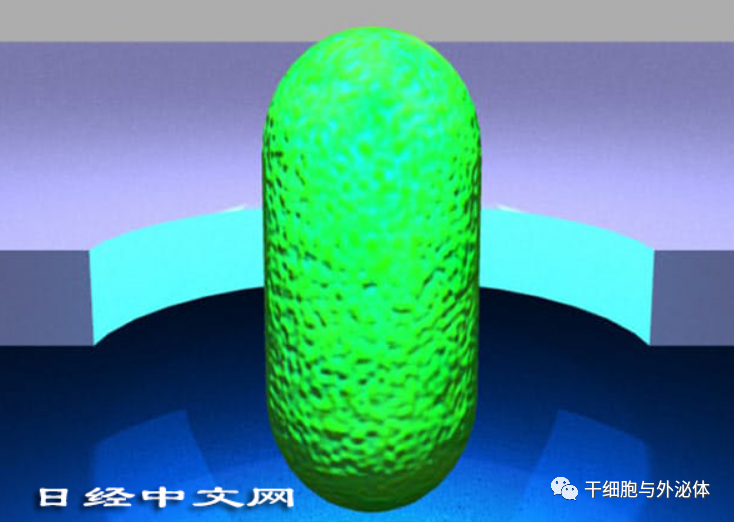 外泌体技术有望实现验血准确诊断癌症