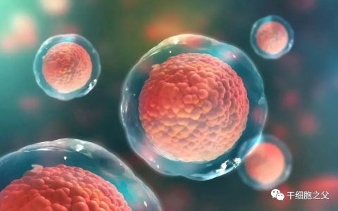 Exogenus和Boehringer合作探索用于再生医学应用的细胞外囊泡