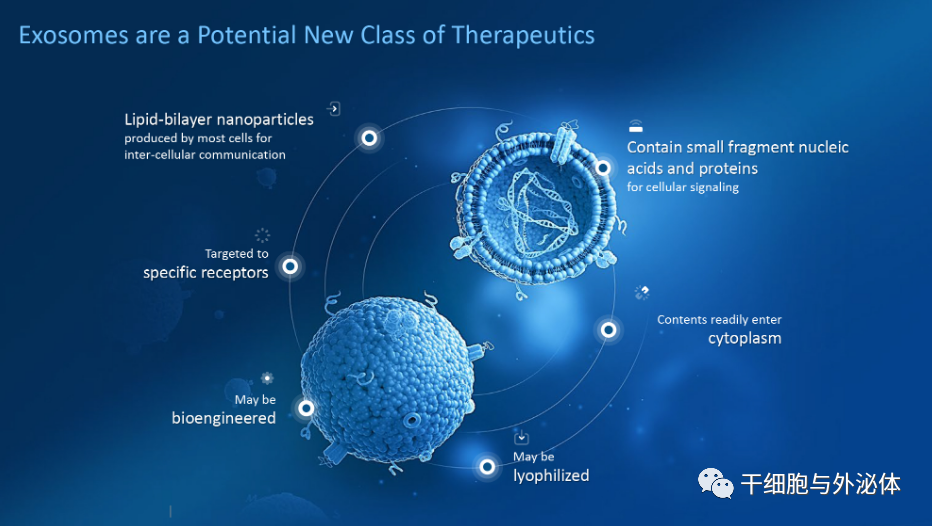 细胞疗法关键不在细胞，外泌体可能更重要