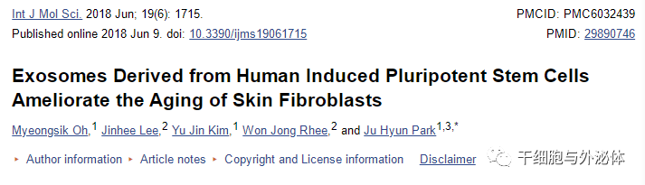 诱导多能干细胞衍生外泌体对皮肤再生修复能力更强