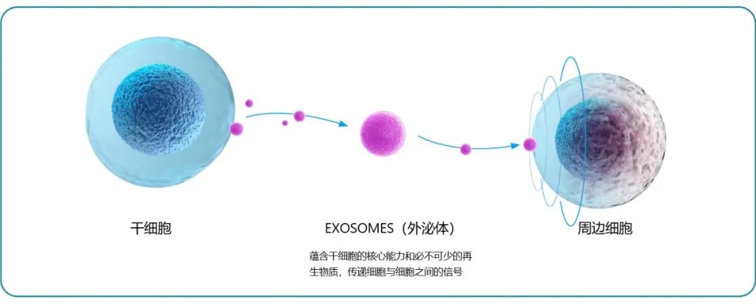 外泌体只有两种保存方式，不是每种“外泌体”都是真正的外泌体