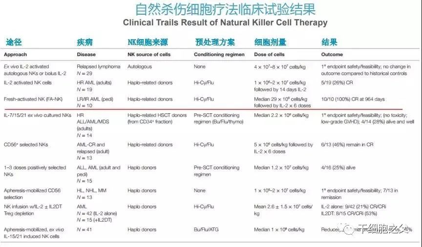 NK细胞丨人体免疫的广谱杀手，防癌、抵御病毒、抗衰老