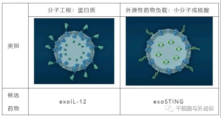 瑞士龙沙Lonza以6500万美元的价格收购了Codiak的外泌体制造工厂