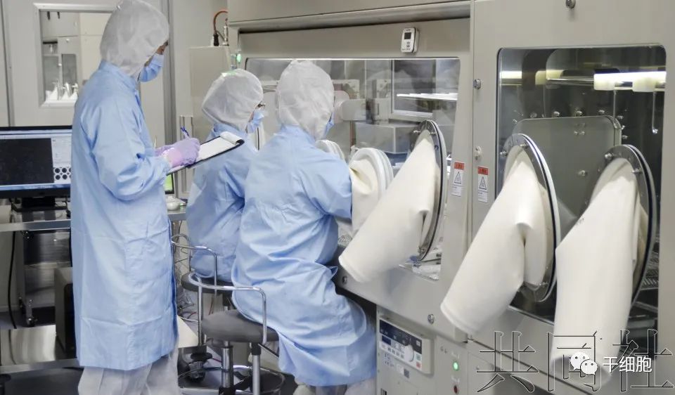 每隔一周将NK细胞注入，总计四次！日本启动诱导多能干细胞源的NK细胞癌症免疫治疗临床试验