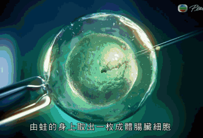 让年轻从每一个细胞开始,逆龄”不再是梦想