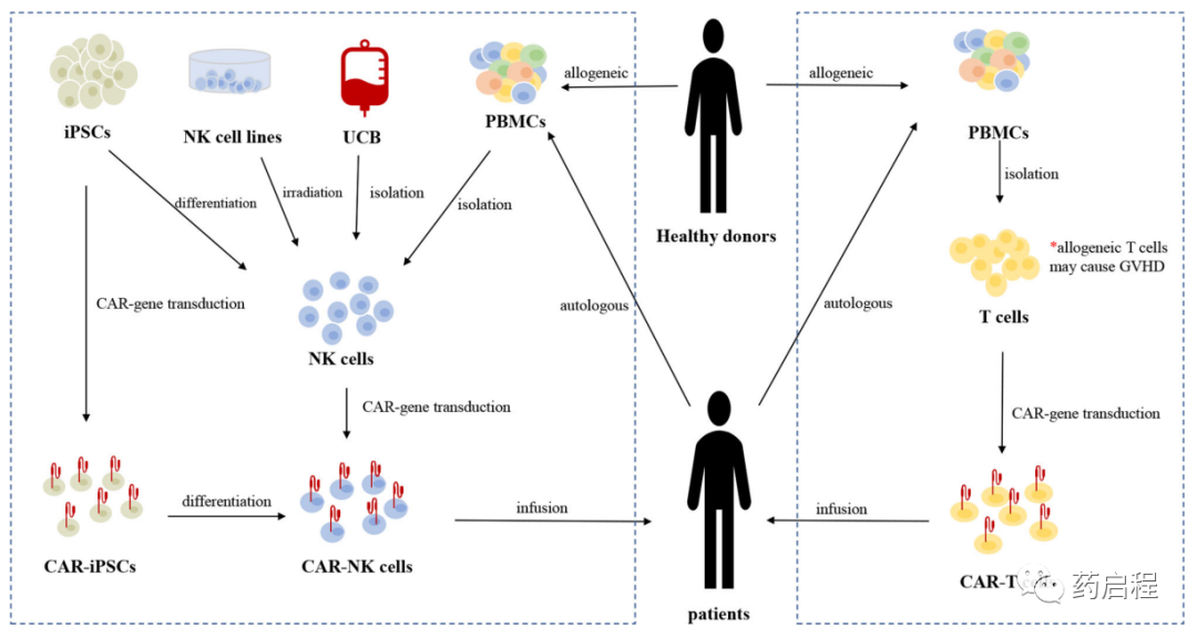 CAR-NK细胞的临床试验介绍