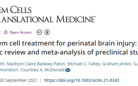 干细胞前沿进展：治疗脑损伤效果喜人！丨