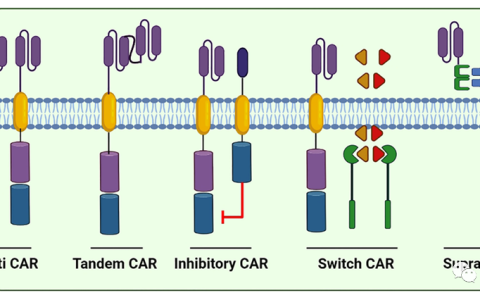 CAR-NK细胞疗法当前的局限性