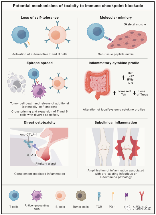 Cell综述介绍了细胞外囊泡在免疫检查点阻断疗法中的功能作用