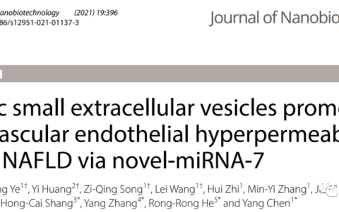 Journal of Nanobiotechnology: 脂肪肝源性外泌体内miR-7致微血管内皮损伤的作用机制