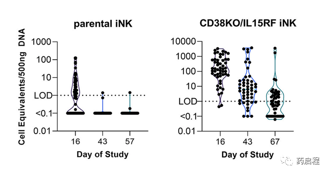 CAR-NK细胞的临床试验介绍