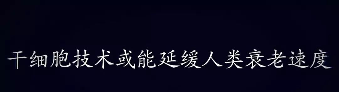 中国科学院院士表示：中国干细胞研究水平与国际不相上下