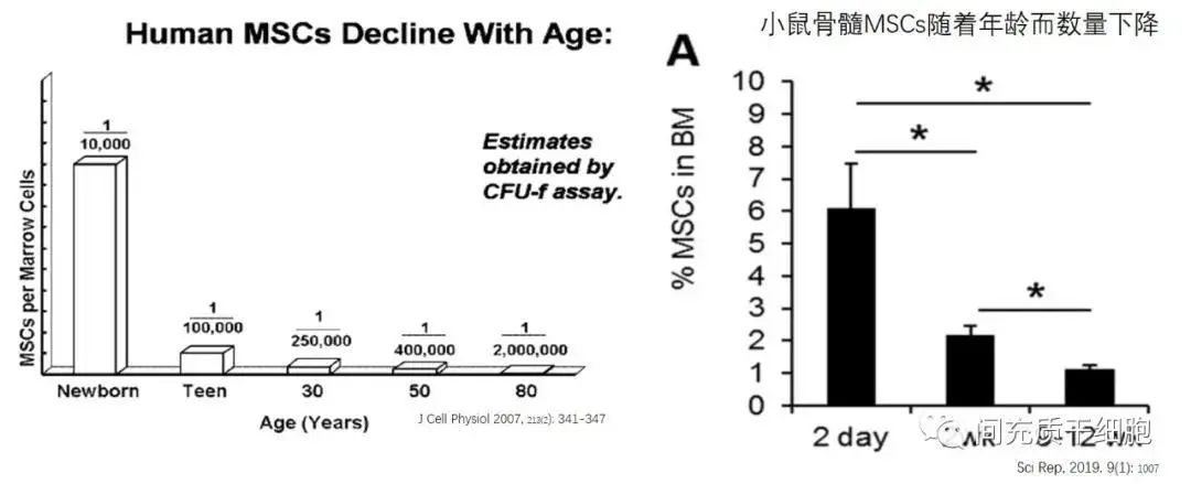 为什么人体内有这么多干细胞，还需要补充干细胞呢？