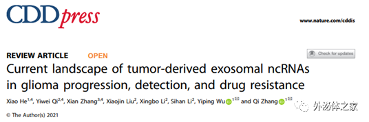Cell Death Dis：肿瘤源性外泌体ncRNAs在胶质瘤的疾病进展、检测和耐药性中的研究现状