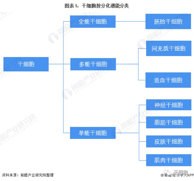 《2022年中国干细胞医疗产业全景图谱》(附市场规模、竞争格局和发展前景等)