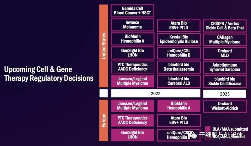 2021年细胞治疗融资创历史纪录，欧洲和亚洲落后于美国