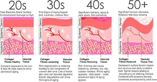 25岁之后皮肤开始衰老，干细胞技术开启生物护肤新时代