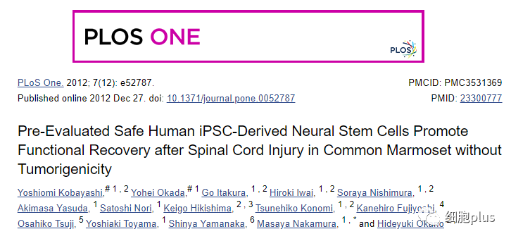 解析 | 首例IPS来源的神经细胞治疗脊髓损伤 三到五年才能见分晓