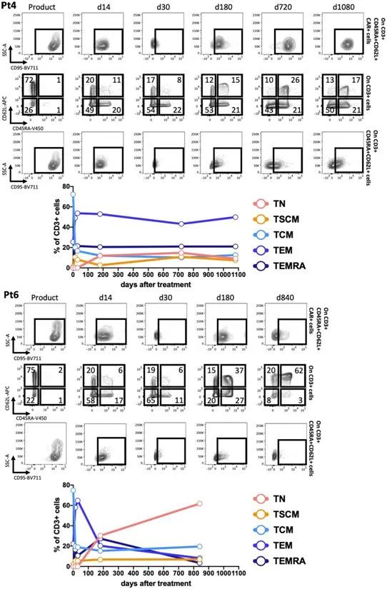 CAR-T免疫细胞治疗的最新研究进展汇总