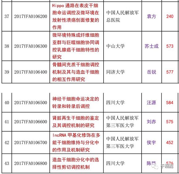 官方发布！国家拨款5亿，最新30个干细胞研究与器官修复项目公示！“十四五”国家重点研发专项立项公示进展（附已立项项目汇总）