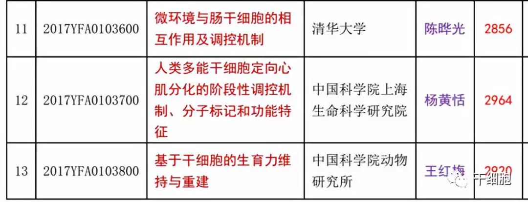 官方发布！国家拨款5亿，最新30个干细胞研究与器官修复项目公示！“十四五”国家重点研发专项立项公示进展（附已立项项目汇总）