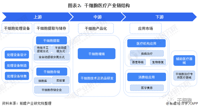 《2022年中国干细胞医疗产业全景图谱》(附市场规模、竞争格局和发展前景等)