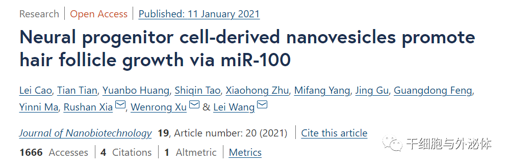 治疗脱发 | 神经祖细胞衍生的纳米囊泡通过 miR-100 促进毛囊生长