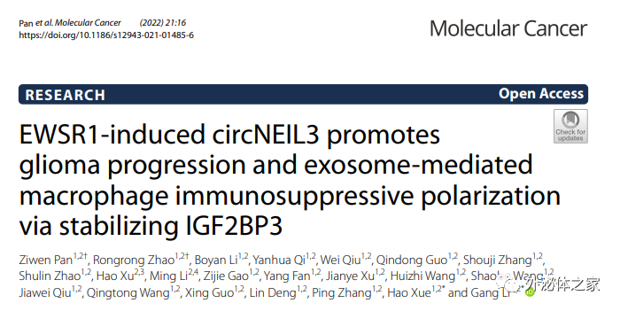 山东大学齐鲁医院 Molecular Cancer：揭示脑胶质瘤外泌体促进肿瘤免疫抑制微环境形成的新机制