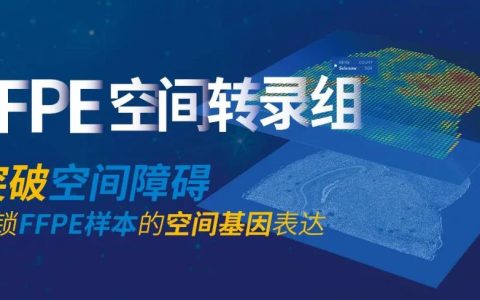 细胞产业大会赞助商伯豪生物：FFPE空间转录组解决方案