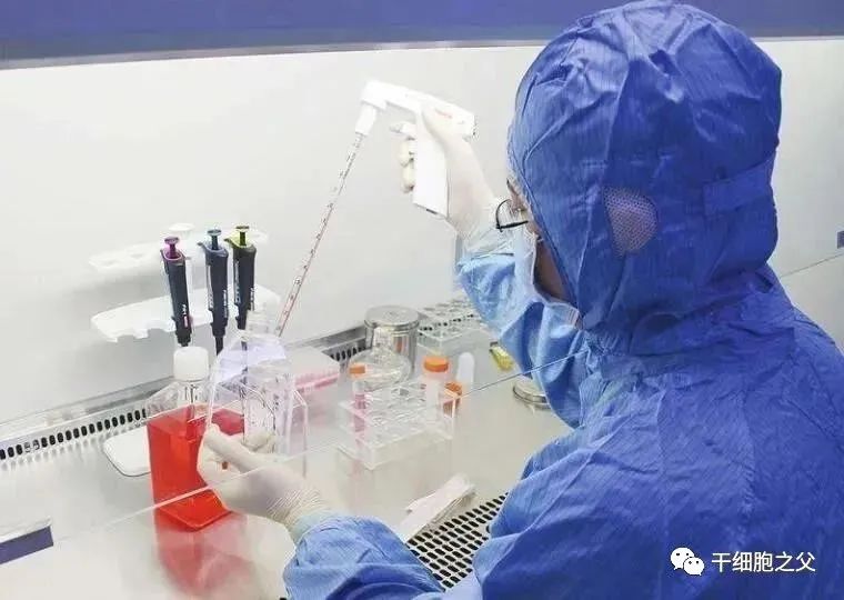 干细胞疗法针对65例股骨头坏死的案例报告