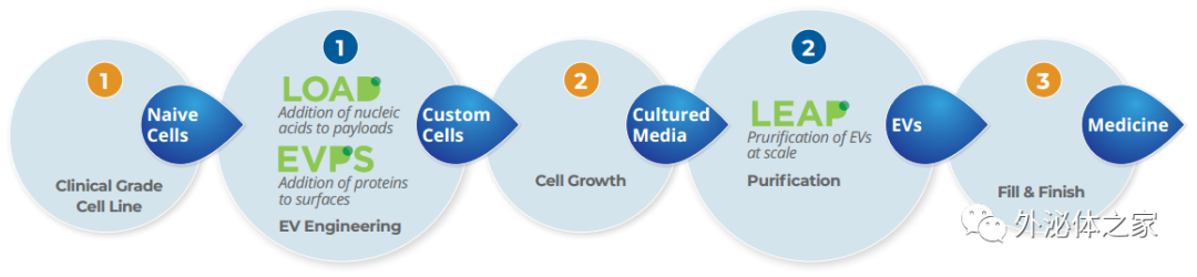Exopharm与安斯泰来再生医学研究所合作开发工程化外泌体的生产制造
