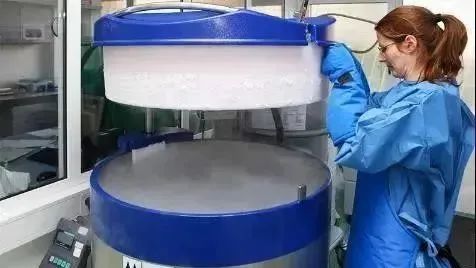 为什么同样是干细胞，价格差异却这么大？