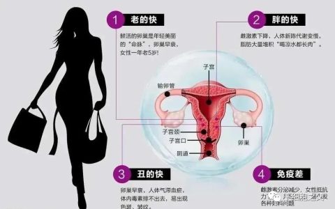 卵巢早衰闭经了？干细胞逆转更年期，改善卵巢功能！