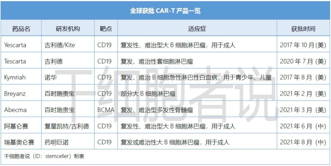 临床级细胞的微环境工程（一）：常见的细胞疗法