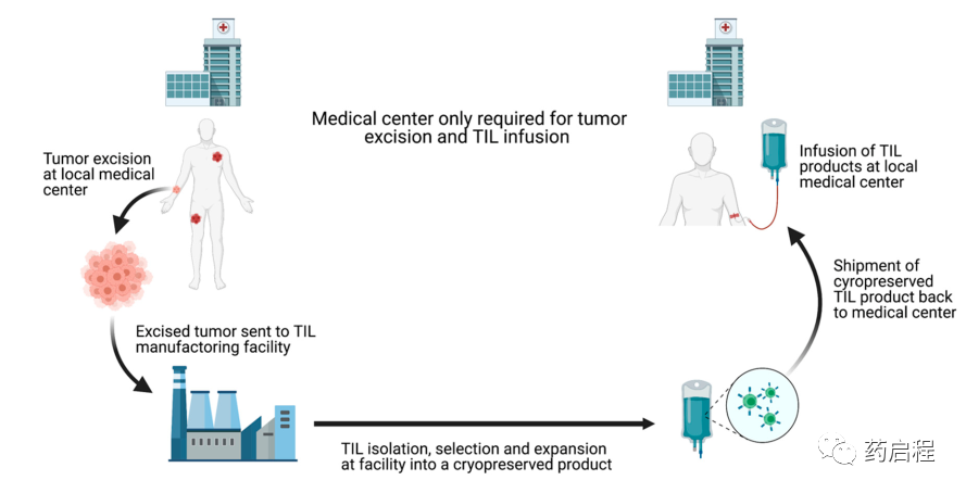 实体瘤的TIL疗法：个性化护理标准的途径