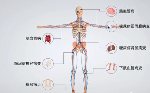 9项临床试验、227名患者数据证实：间充质干细胞治疗显著改善II型糖尿病多项指标