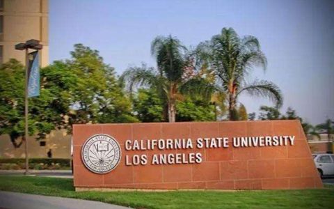 UCLA获130万美元用于开发iPS细胞衍生细胞外囊泡疗法治疗1型糖尿病