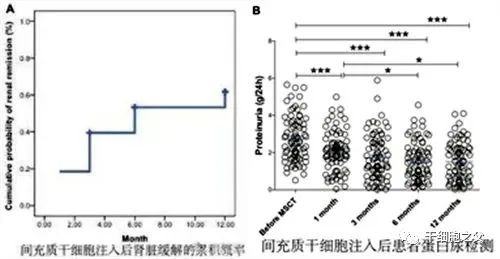 肾病患者新选择，干细胞疗法修复肾损伤！