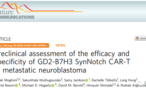 GD2-B7H3 SynNotch CAR-T的临床前评估