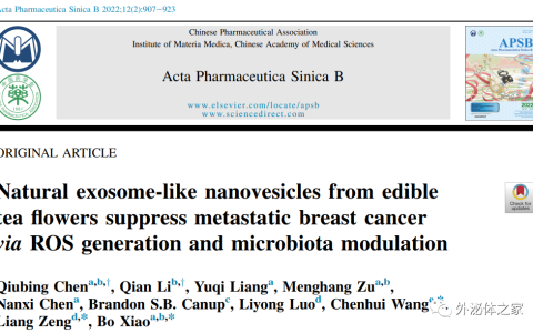 ACTA PHARM SIN B | 西南大学肖波教授团队：茶树花来源类外泌体囊泡通过活性氧生成和肠道微生物群调节治疗恶性乳腺癌