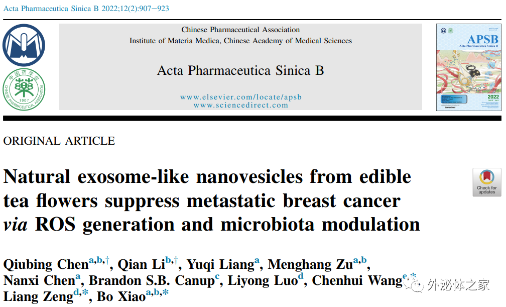 ACTA PHARM SIN B | 西南大学肖波教授团队：茶树花来源类外泌体囊泡通过活性氧生成和肠道微生物群调节治疗恶性乳腺癌