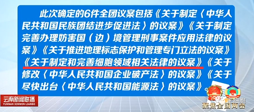 今年两会细胞行业大提案！云南省代表团以全团名义向大会提交《关于制定和完善细胞领域相关法律的议案》