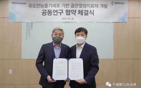 MDimune与YiPSCELL签署研究协议，开发基于iPSC衍生的外泌体疗法